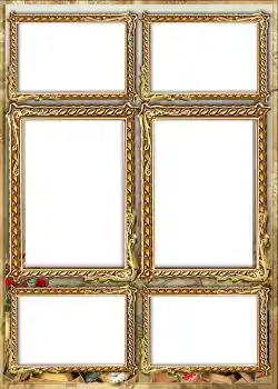 تأثير صور من فئة ألبوم رقم 1 № 842 تأثير صور من فئة ألبوم رقم 1 № 842