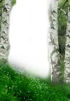 تأثير صور من فئة الربيع № 149305 تأثير صور من فئة الربيع № 149305