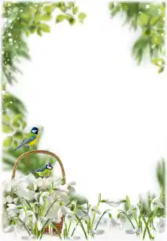 تأثير صور من فئة الربيع № 205355 تأثير صور من فئة الربيع № 205355