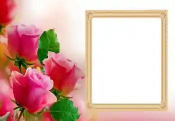 تأثير صور من فئة إطارات صور نسائية № 206188