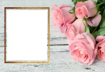 تأثير صور من فئة إطارات صور نسائية № 206191 تأثير صور من فئة إطارات صور نسائية № 206191