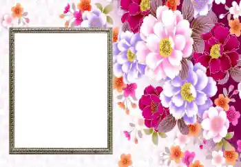 تأثير صور من فئة إطارات صور نسائية № 206192 تأثير صور من فئة إطارات صور نسائية № 206192