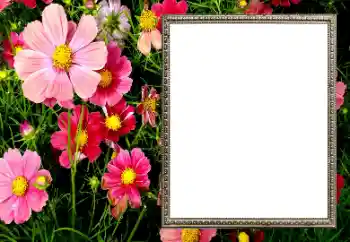 تأثير صور من فئة إطارات صور نسائية № 206194 تأثير صور من فئة إطارات صور نسائية № 206194