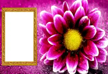 تأثير صور من فئة إطارات صور نسائية № 206195 تأثير صور من فئة إطارات صور نسائية № 206195