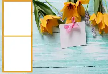 تأثير صور من فئة إطارات صور نسائية № 206196 تأثير صور من فئة إطارات صور نسائية № 206196